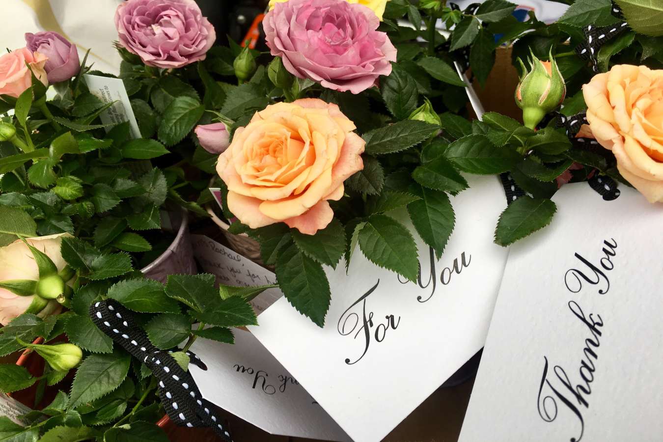 5 Thank You Flowers to Show Appreciation and Gratitude 5 Thank You Flowers to Show Appreciation and Gratitude
